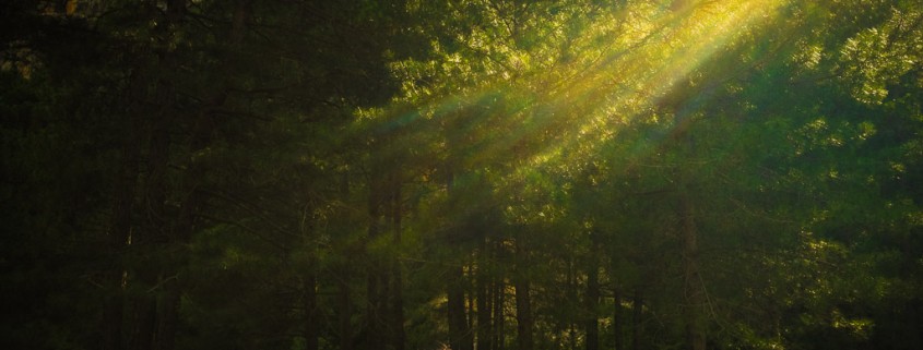 Bitacora fotografica