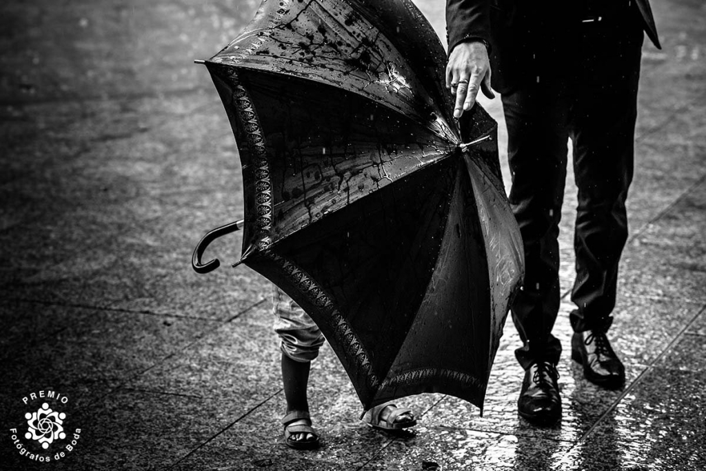 01 - Premio Round 24_FDB