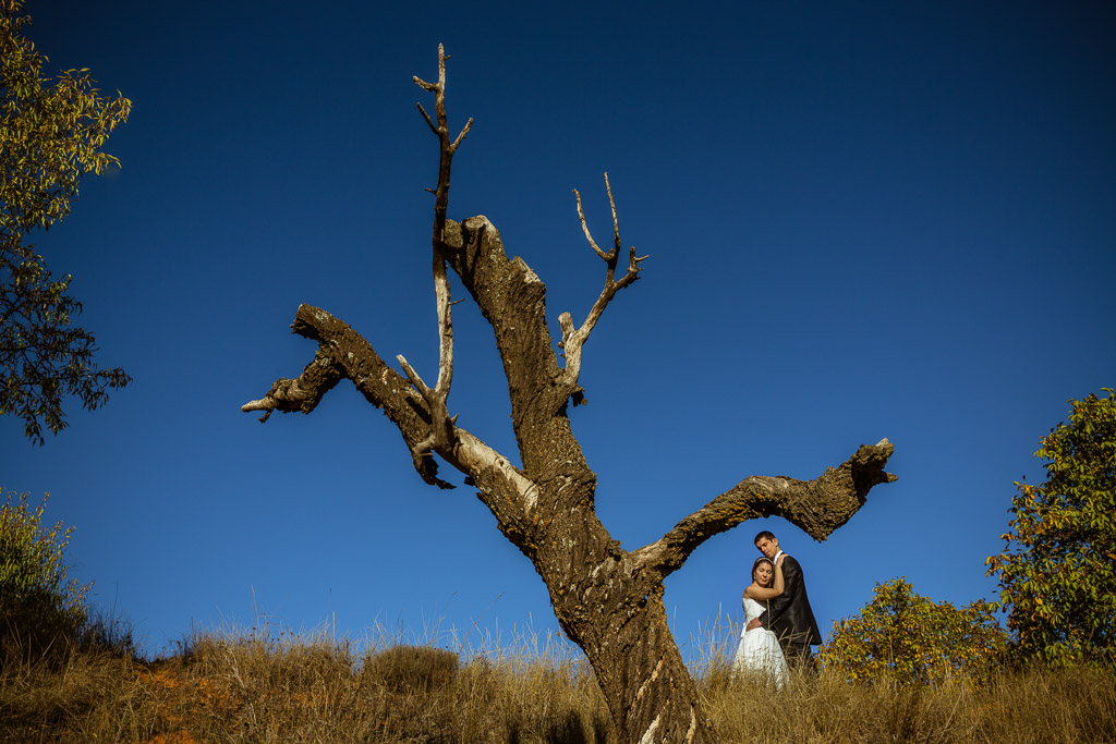 Fotografos en Zaragoza